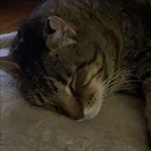 Meet your Posher, Lynn